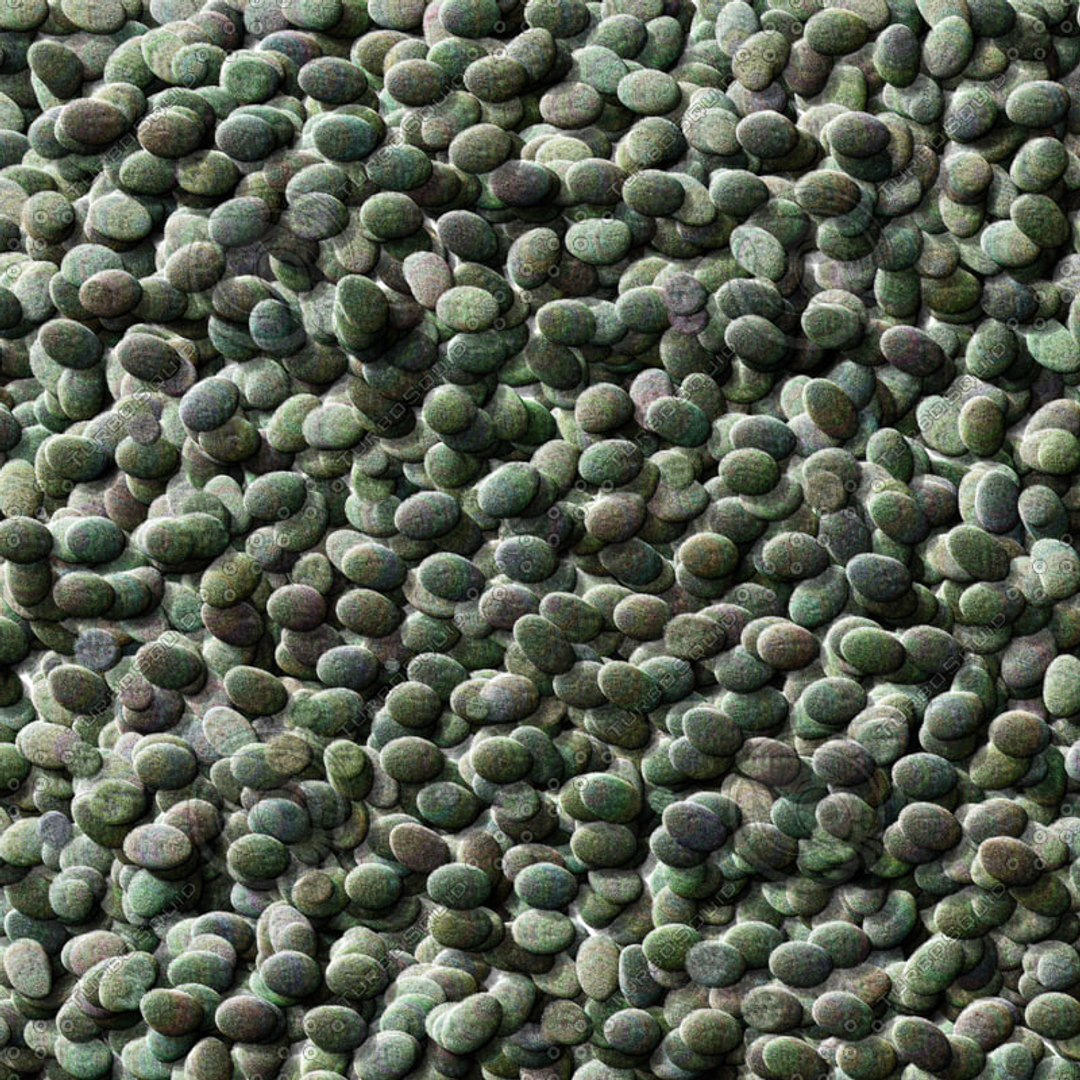  https://p.turbosquid.com/preview.turbosquid.com/Preview/2014/08/01__17_25_29/moonwobblemedia_dotty_rocks.jpg14a32cf1-aff5-4353-8a5b-5c030168a2fdOriginal/jpg/1223314471/1920x1080/fit_q87/899b39c483e3b9373b8909b8de9b31113af7eb43/moonwobblemedia_dotty_rocks.jpg14a32cf1-aff5-4353-8a5b-5c030168a2fdOriginal.jpg