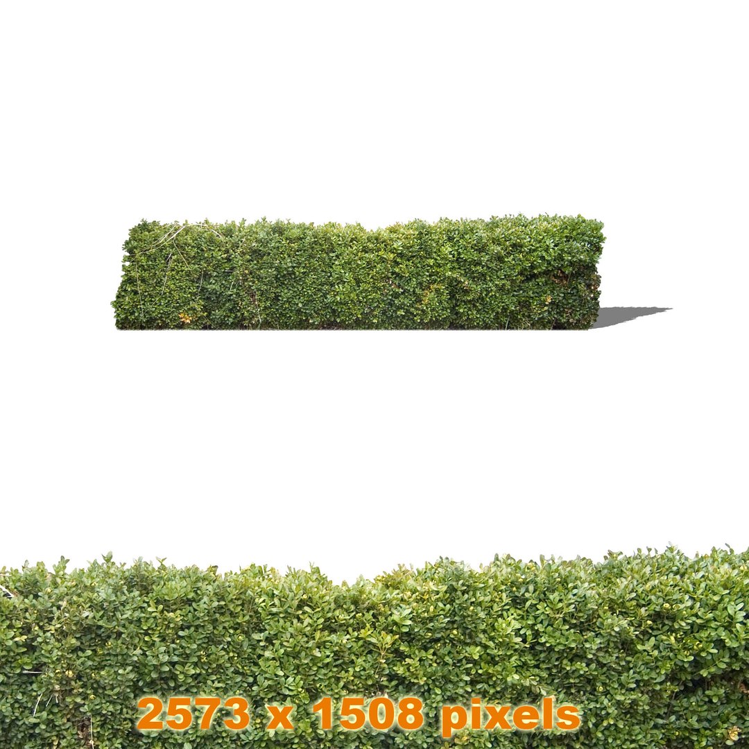 https://p.turbosquid.com/preview.turbosquid.com/Preview/2014/08/01__17_56_46/boxshrub_thumb.jpg0628159f-9ecc-4a7b-8eed-cc31b7986918Zoom/jpg/1241285358/1920x1080/fit_q87/6b395f889530b4183d0bcad619591cdddaaef8e2/boxshrub_thumb.jpg0628159f-9ecc-4a7b-8eed-cc31b7986918Zoom.jpg
