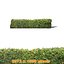 Hedge