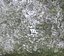 taihu stone 22