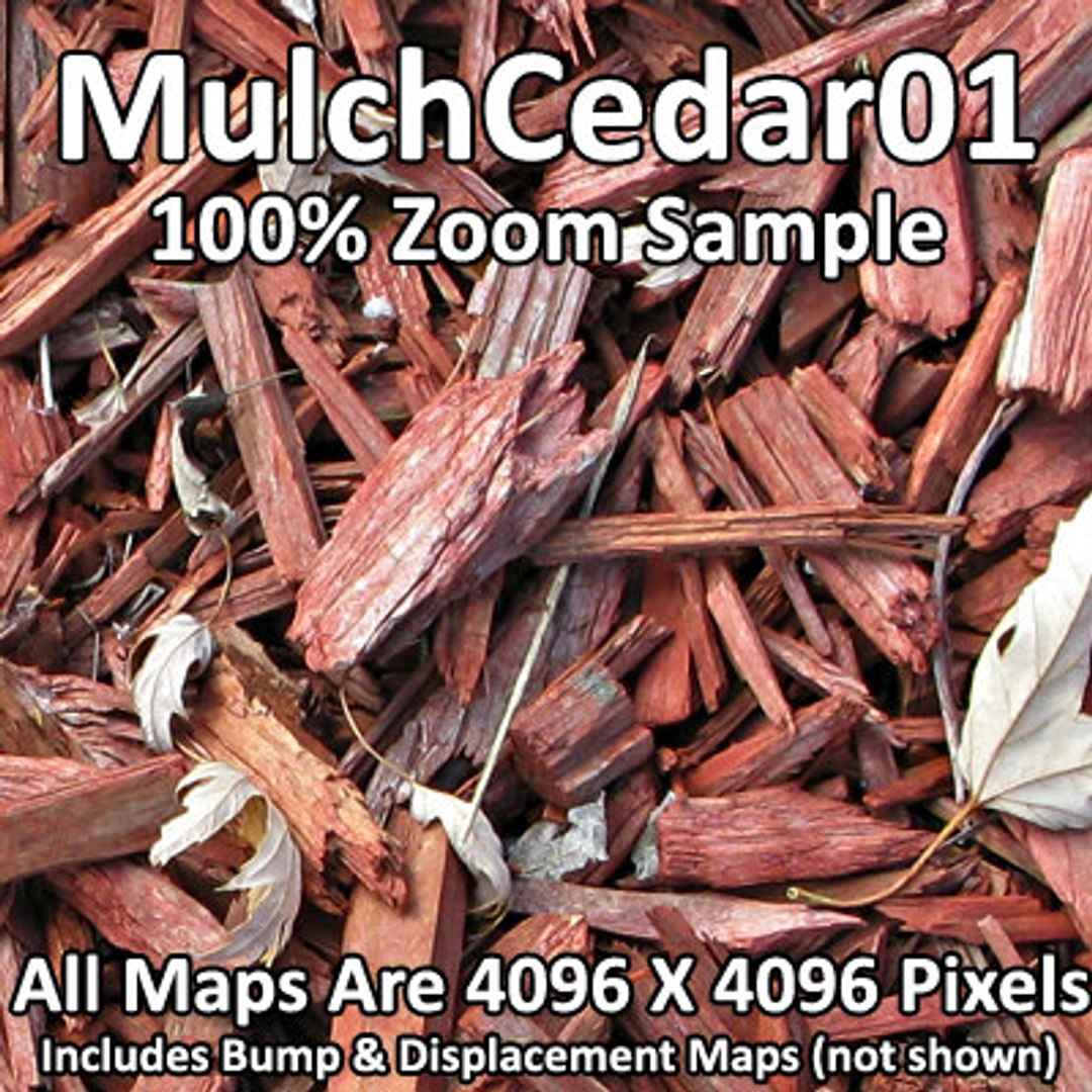  https://p.turbosquid.com/preview.turbosquid.com/Preview/2014/08/01__18_04_10/4kMulchCedar01Zoom.jpgc5bd1e1a-9b33-48dd-bc9c-6a912bd48934Larger/jpg/1228238596/1920x1080/fit_q87/64e50cc9130ffe0ff745104396317b9a15cb584c/4kMulchCedar01Zoom.jpgc5bd1e1a-9b33-48dd-bc9c-6a912bd48934Larger.jpg