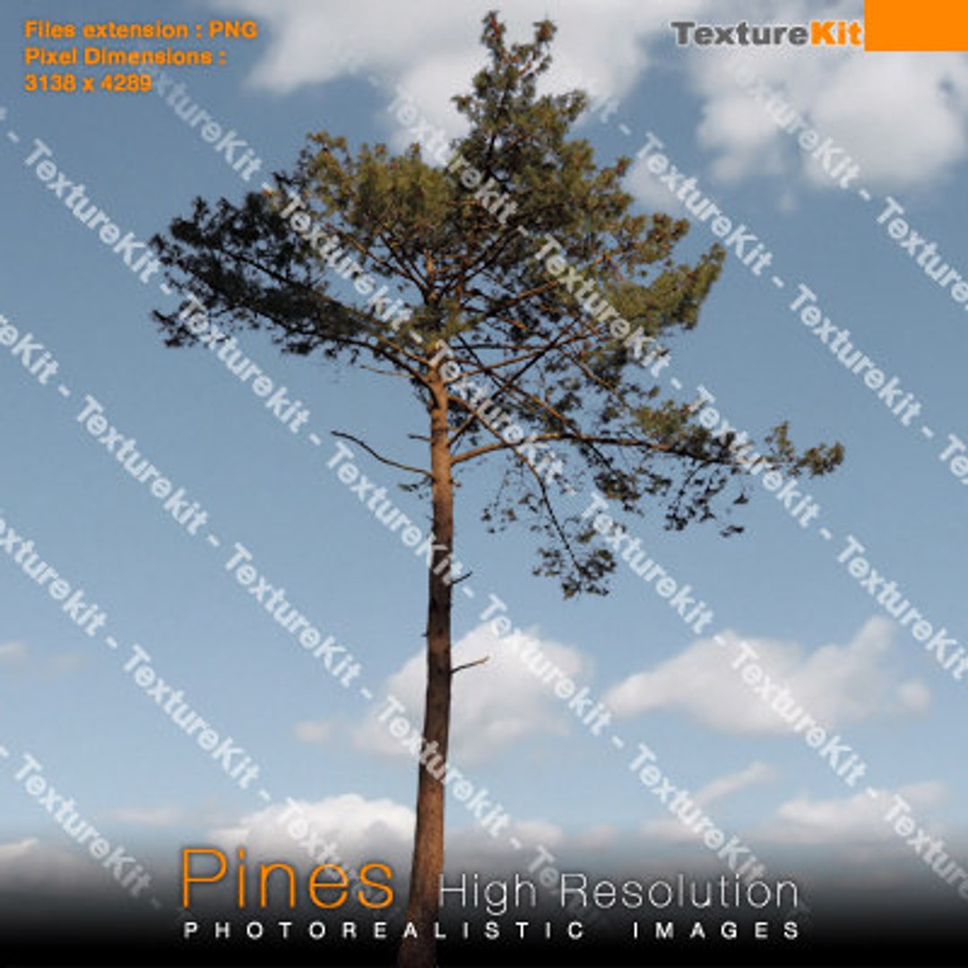  https://p.turbosquid.com/preview.turbosquid.com/Preview/2014/08/01__18_23_50/pines33_thumbnail.jpg7e430c4e-ccbb-40ff-9449-68e9ef7c41efLarger/jpg/1252860898/1920x1080/fit_q87/19be21200dea70dd90d2f4c27c78feacaa20a4f8/pines33_thumbnail.jpg7e430c4e-ccbb-40ff-9449-68e9ef7c41efLarger.jpg