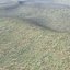 High res Grass Volume 3