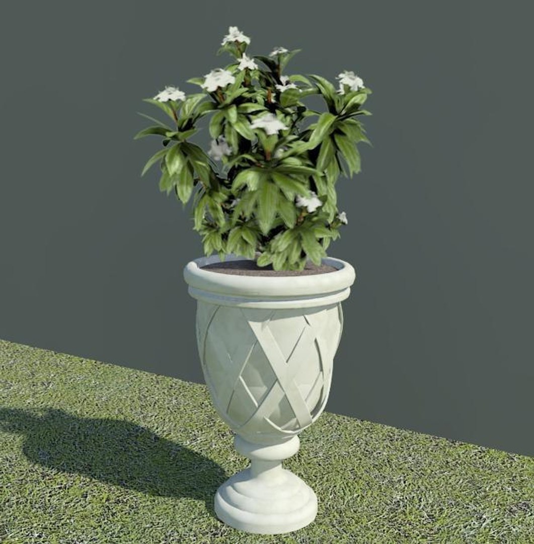 planter plant 3d 3ds https://p.turbosquid.com/preview.turbosquid.com/Preview/2014/08/01__19_40_10/Planter_Urn-Render-02.jpgf9e1c0db-d5b7-48be-8809-2fd7a86e4254Original/jpg/1277234834/1920x1080/fit_q87/a91e5795d7682cee541d87a3cdfe444cefb2795f/Planter_Urn-Render-02.jpgf9e1c0db-d5b7-48be-8809-2fd7a86e4254Original.jpg
