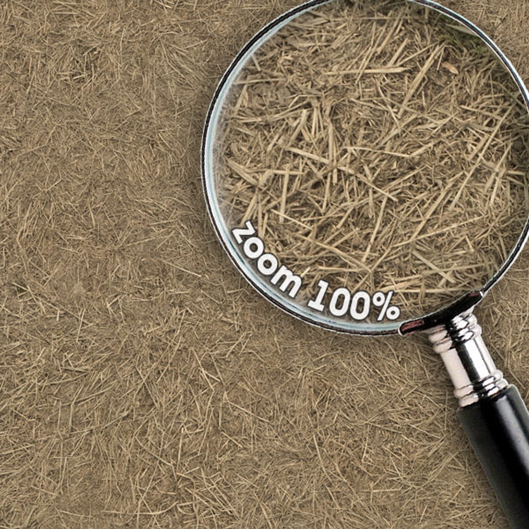 Grass Textures vol.10 - TurboSquid 556724