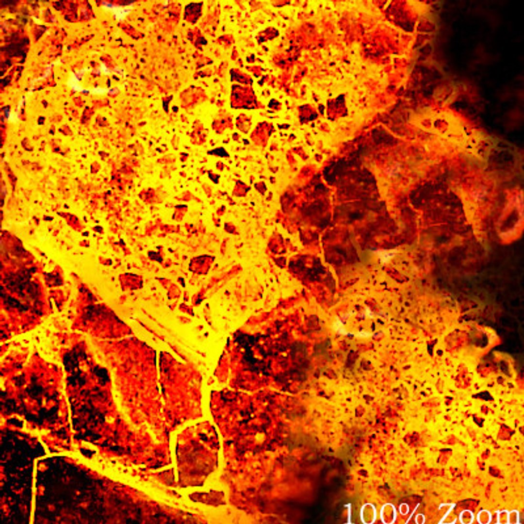  https://p.turbosquid.com/preview.turbosquid.com/Preview/2014/08/01__20_07_34/det1.jpg85448cb5-2d99-46e5-88af-eb20cbf0c2d3Larger/jpg/1288530109/1920x1080/fit_q87/b04d7be41bf1320a2fe7984b5e11fb3696e810d5/det1.jpg85448cb5-2d99-46e5-88af-eb20cbf0c2d3Larger.jpg