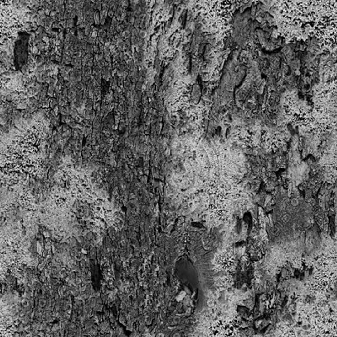  https://p.turbosquid.com/preview.turbosquid.com/Preview/2014/08/01__21_05_01/DLWOOD_Bark_01_012_G_TA_B.jpg3e4124cd-f85f-409c-9fb2-f861c2ccaef3Large/jpg/1313743624/1920x1080/fit_q87/a40a2ab2d0a7759d4dcac6d45e57703823876dd4/DLWOOD_Bark_01_012_G_TA_B.jpg3e4124cd-f85f-409c-9fb2-f861c2ccaef3Large.jpg