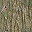 DLWOOD Bark Pack 01