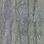 DLWOOD Bark Pack 01
