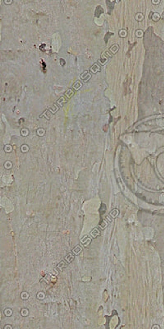  https://p.turbosquid.com/preview.turbosquid.com/Preview/2014/08/01__21_05_01/DLWOOD_Bark_01_057_G_TA_C.jpgfa89b0de-2d2d-4e91-994d-1190b8687e53Large/jpg/1313743625/1920x1080/fit_q87/a9e0c00418f64f9a1dde86332af8bd41b17eddea/DLWOOD_Bark_01_057_G_TA_C.jpgfa89b0de-2d2d-4e91-994d-1190b8687e53Large.jpg
