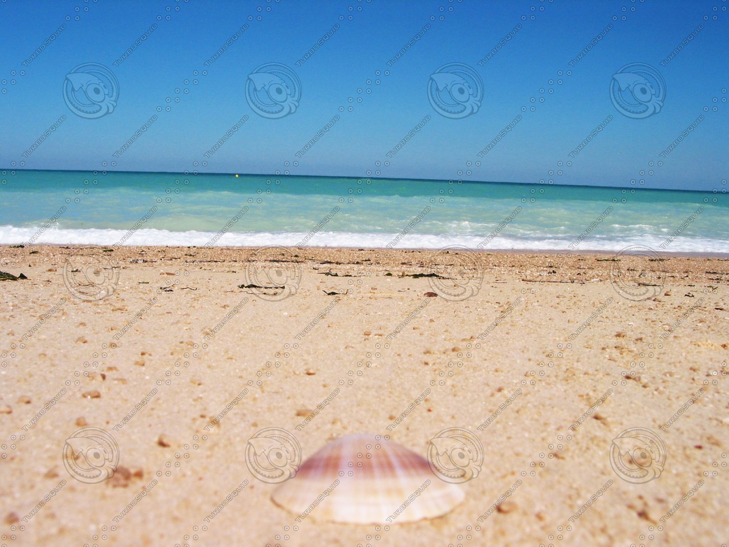  https://p.turbosquid.com/preview.turbosquid.com/Preview/2014/08/01__21_24_43/IMG_2917.JPGf837f3a8-74de-4dde-b1ed-78540787959cZoom/jpg/1326977435/1920x1080/fit_q87/671ed442a7d7d2df59998ee7eb817beca6b7e65d/IMG_2917.JPGf837f3a8-74de-4dde-b1ed-78540787959cZoom.jpg