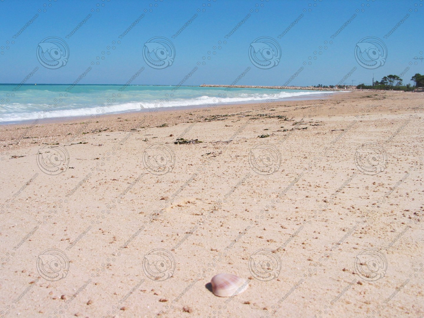  https://p.turbosquid.com/preview.turbosquid.com/Preview/2014/08/01__21_24_43/IMG_2918.JPGdee7e1ca-676a-4f11-a33f-8be1e81217efZoom/jpg/1326977435/1920x1080/fit_q87/668a434bc9b3de2da57349fcafa279c247fc4d6e/IMG_2918.JPGdee7e1ca-676a-4f11-a33f-8be1e81217efZoom.jpg