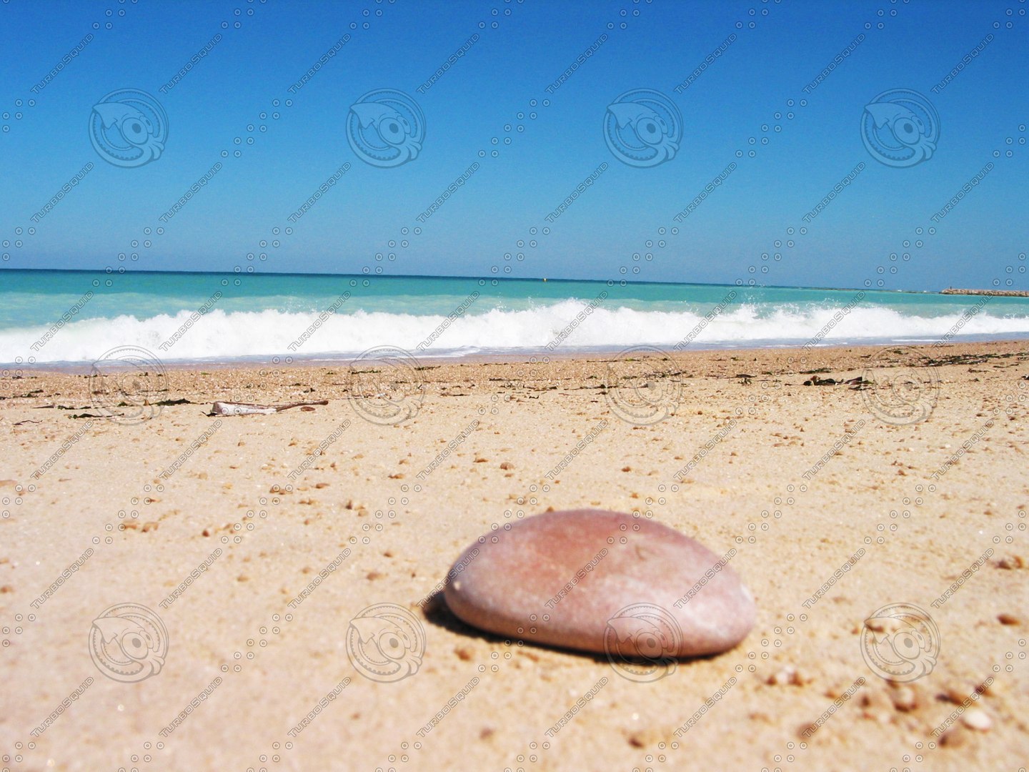  https://p.turbosquid.com/preview.turbosquid.com/Preview/2014/08/01__21_24_43/beachstone2.JPG3271a239-ab65-40d9-aef5-e5d39c0b03afZoom/jpg/1326977435/1920x1080/fit_q87/798544b63680b0bfa212e9860e1522c5bc37ac88/beachstone2.JPG3271a239-ab65-40d9-aef5-e5d39c0b03afZoom.jpg