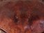 lsshe_00076