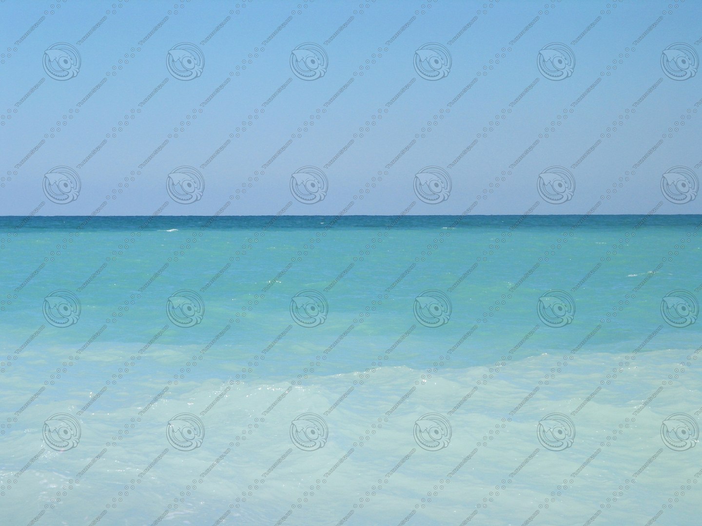  https://p.turbosquid.com/preview.turbosquid.com/Preview/2014/08/01__21_24_43/sea.JPG762667ca-466b-40dd-9ff6-7da8d95ac0f5Zoom/jpg/1326977435/1920x1080/fit_q87/b567ed7f0e241f2d203cde3130330e360aaf5d8b/sea.JPG762667ca-466b-40dd-9ff6-7da8d95ac0f5Zoom.jpg