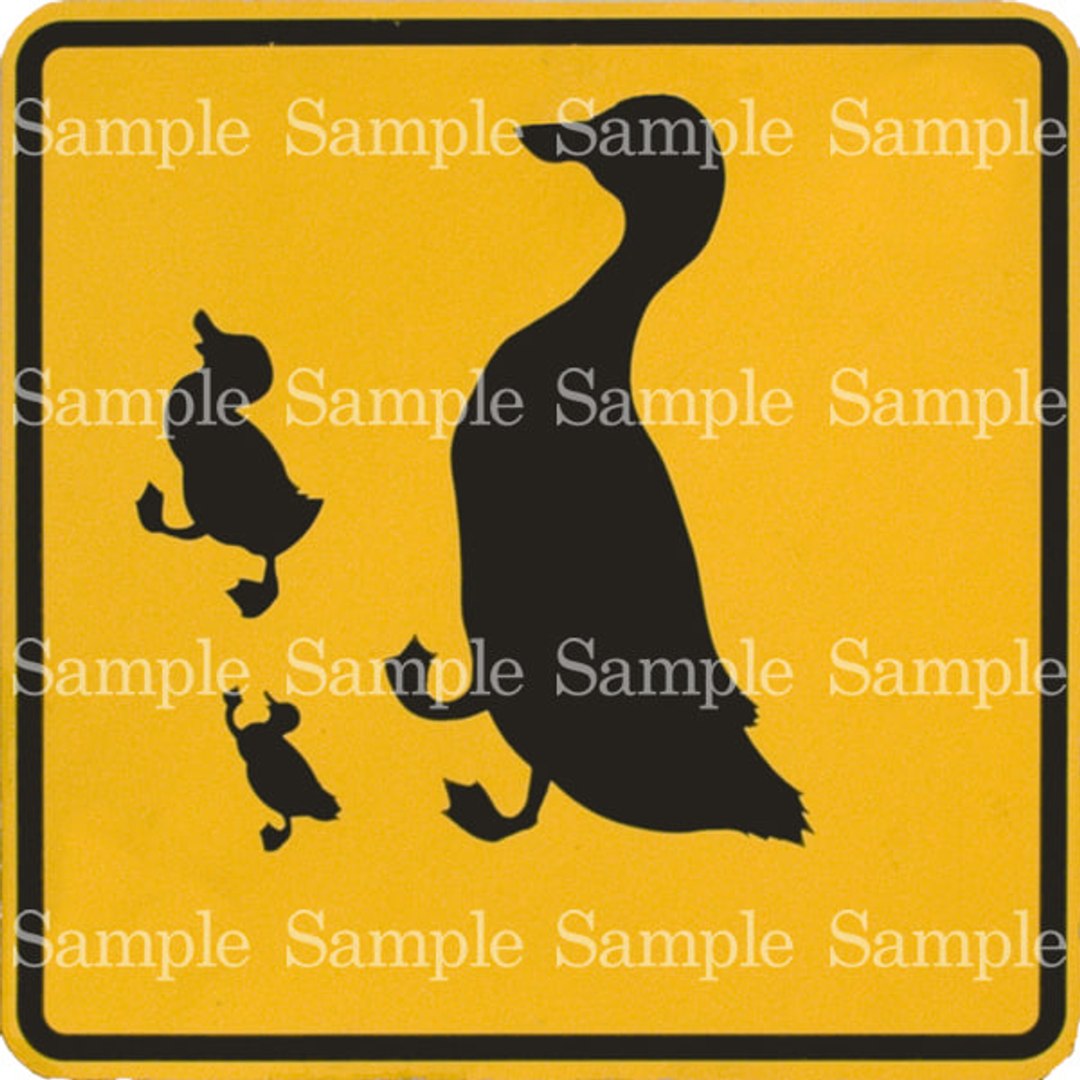 Animal Signs Texture Pack - TurboSquid 645430