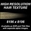 High Resolution Hair Texture - Light Blond
