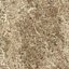 Tree Bark