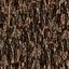 Tree Bark