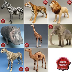African Animals Collection V3