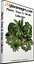 2d Floorplan Plants, Trees & Shrubs Collection Overhead & topdown views