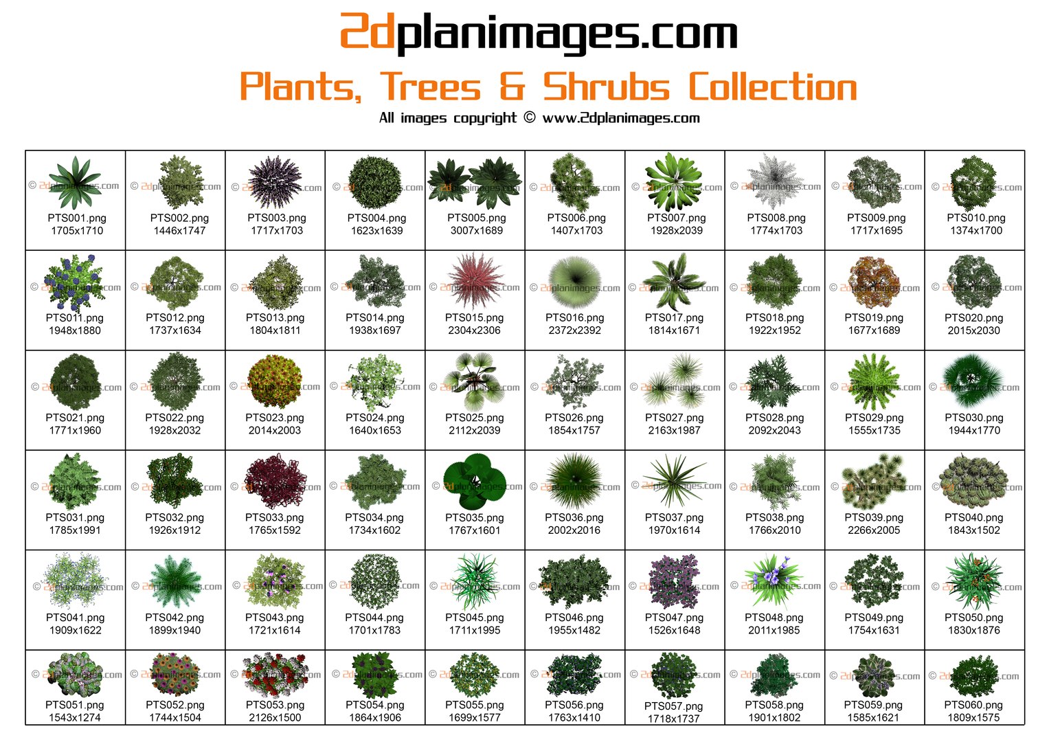  https://p.turbosquid.com/preview.turbosquid.com/Preview/2014/09/03__02_29_37/PlantsTreesShrubsBrochurePage1.jpg3cd04c35-499b-4e4b-bbfb-3a27464b5df4Zoom/jpg/1409729499/1920x1080/fit_q87/6a998a23f8a5101de56188ff92ebbf9b5c74bec3/PlantsTreesShrubsBrochurePage1.jpg3cd04c35-499b-4e4b-bbfb-3a27464b5df4Zoom.jpg