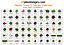 2d Floorplan Plants, Trees & Shrubs Collection Overhead & topdown views