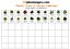 2d Floorplan Plants, Trees & Shrubs Collection Overhead & topdown views