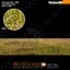 Wild Grass V2 High Resolution
