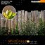 Wild Grass V2 High Resolution