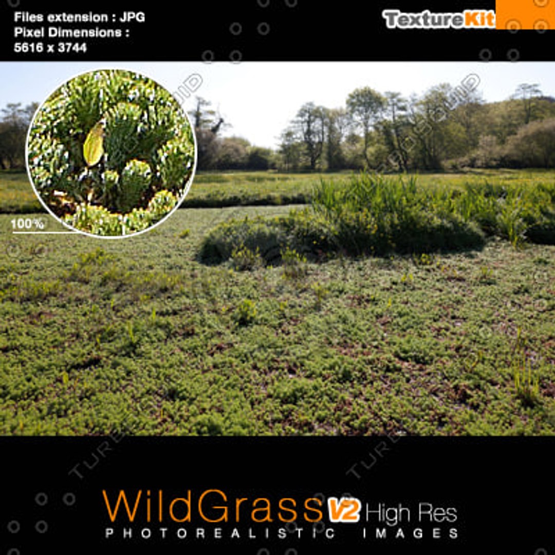  https://p.turbosquid.com/preview.turbosquid.com/Preview/2014/12/12__07_59_08/thumb_22.jpgc902adef-b198-40a3-ace1-f61c5773c36cLarge/jpg/1418394121/1920x1080/fit_q87/15286db764b886629b88264d8cae33472634d13c/thumb_22.jpgc902adef-b198-40a3-ace1-f61c5773c36cLarge.jpg