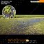 Wild Grass V2 High Resolution