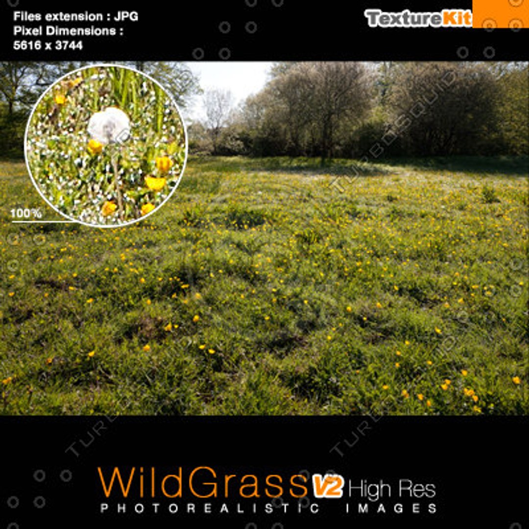  https://p.turbosquid.com/preview.turbosquid.com/Preview/2014/12/12__07_59_08/thumb_40.jpg9241a033-d4b8-48b5-81d9-af83f888d7c9Large/jpg/1418394122/1920x1080/fit_q87/149c501339ac170e8876578525fc35e7ae646d54/thumb_40.jpg9241a033-d4b8-48b5-81d9-af83f888d7c9Large.jpg