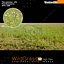 Wild Grass V2 High Resolution