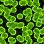 Cells 6x Seamless Textures