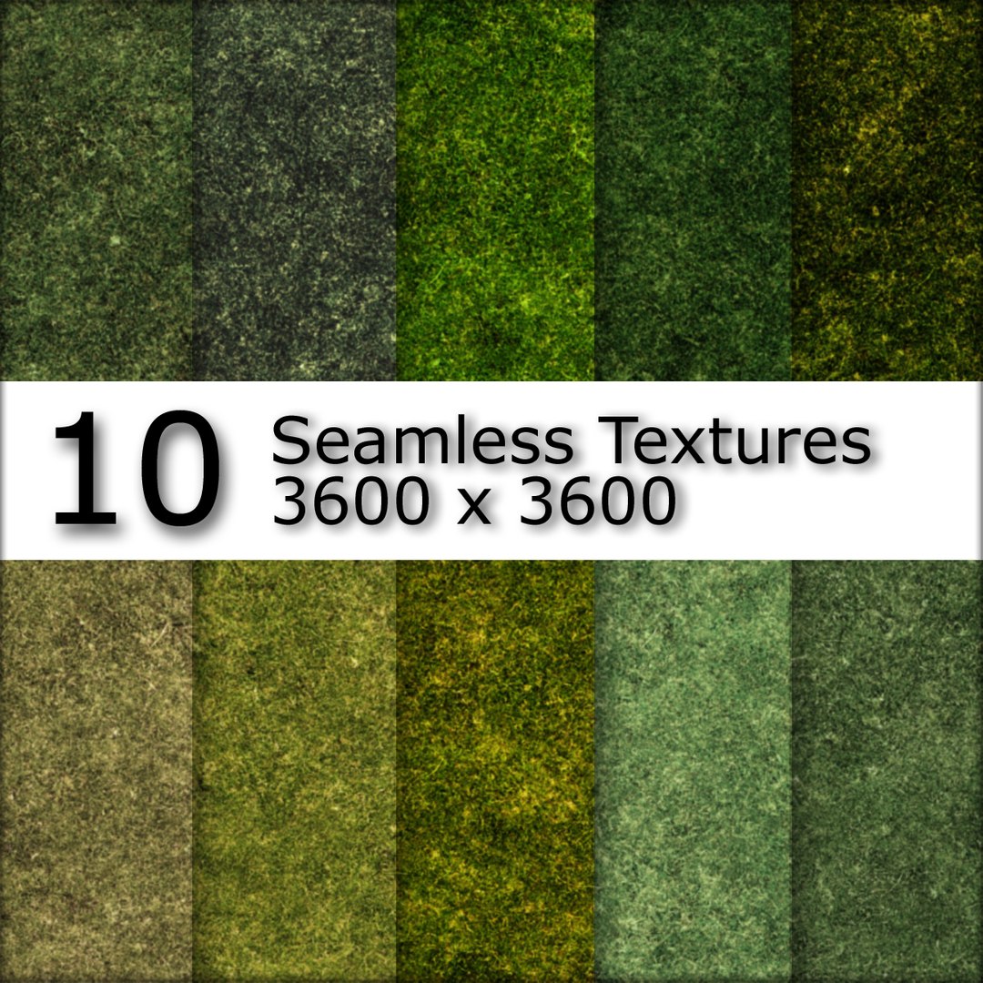  https://p.turbosquid.com/preview.turbosquid.com/Preview/2015/03/06__17_28_40/SeamlessGrassPresentationImage.jpgf2af7f34-6ca3-4ff2-9668-99ba5ed04e80Zoom/jpg/1425700585/1920x1080/fit_q87/a35e4194d6edd8ad227dac3e2a5e77709c4630ee/SeamlessGrassPresentationImage.jpgf2af7f34-6ca3-4ff2-9668-99ba5ed04e80Zoom.jpg
