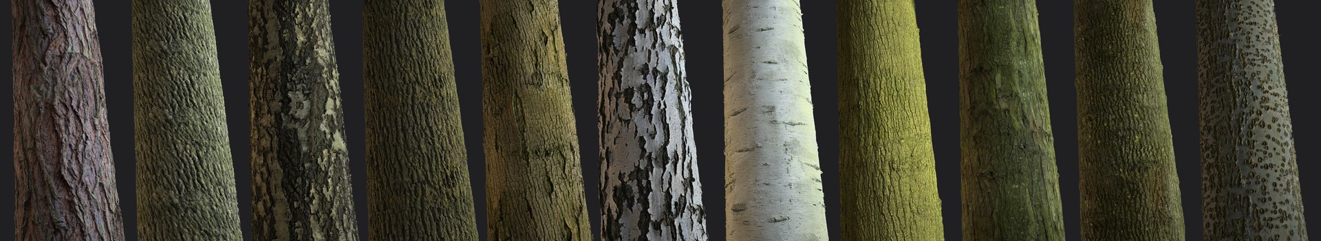 Tree Bark Tileable Texture Pack - TurboSquid 946063