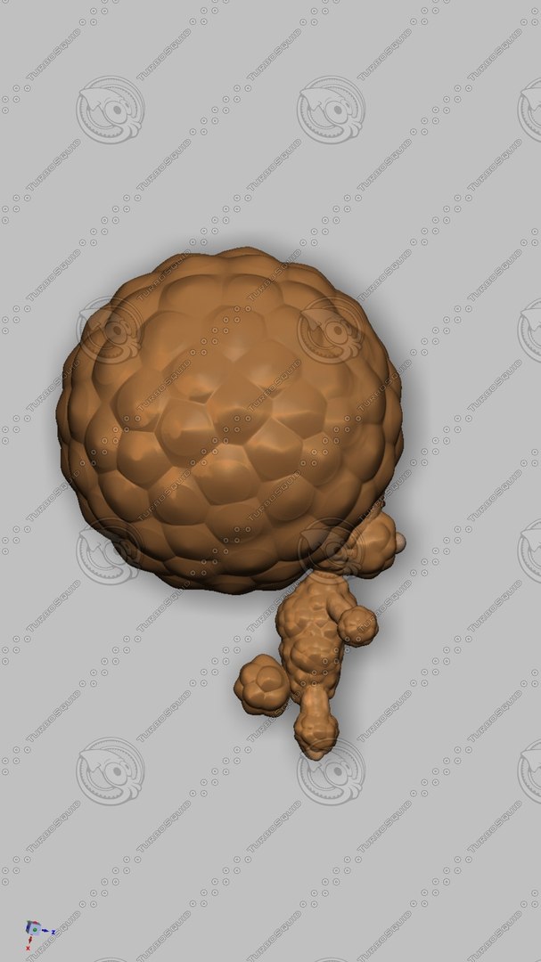 3d dog model https://p.turbosquid.com/preview.turbosquid.com/Preview/2016/05/25__01_56_12/jaga_right.jpg08b1c9d5-a0ee-4a9d-9d65-d4b1f64ea37dZoom/jpg/1455851783/1920x1080/fit_q87/2fd33d658508925b7d336e65d01a7c0d652a2eea/jaga_right.jpg08b1c9d5-a0ee-4a9d-9d65-d4b1f64ea37dZoom.jpg