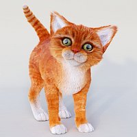 CAT(Orange Tabby)(RED) (FUR)