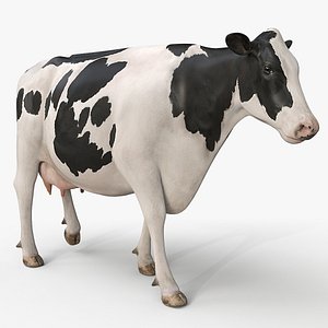 Cow PRO  Holstein