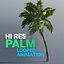 Hi Res Palm Animated