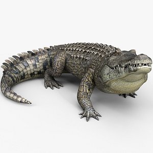 Crocodile PRO
