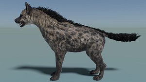 Hyena Rigged