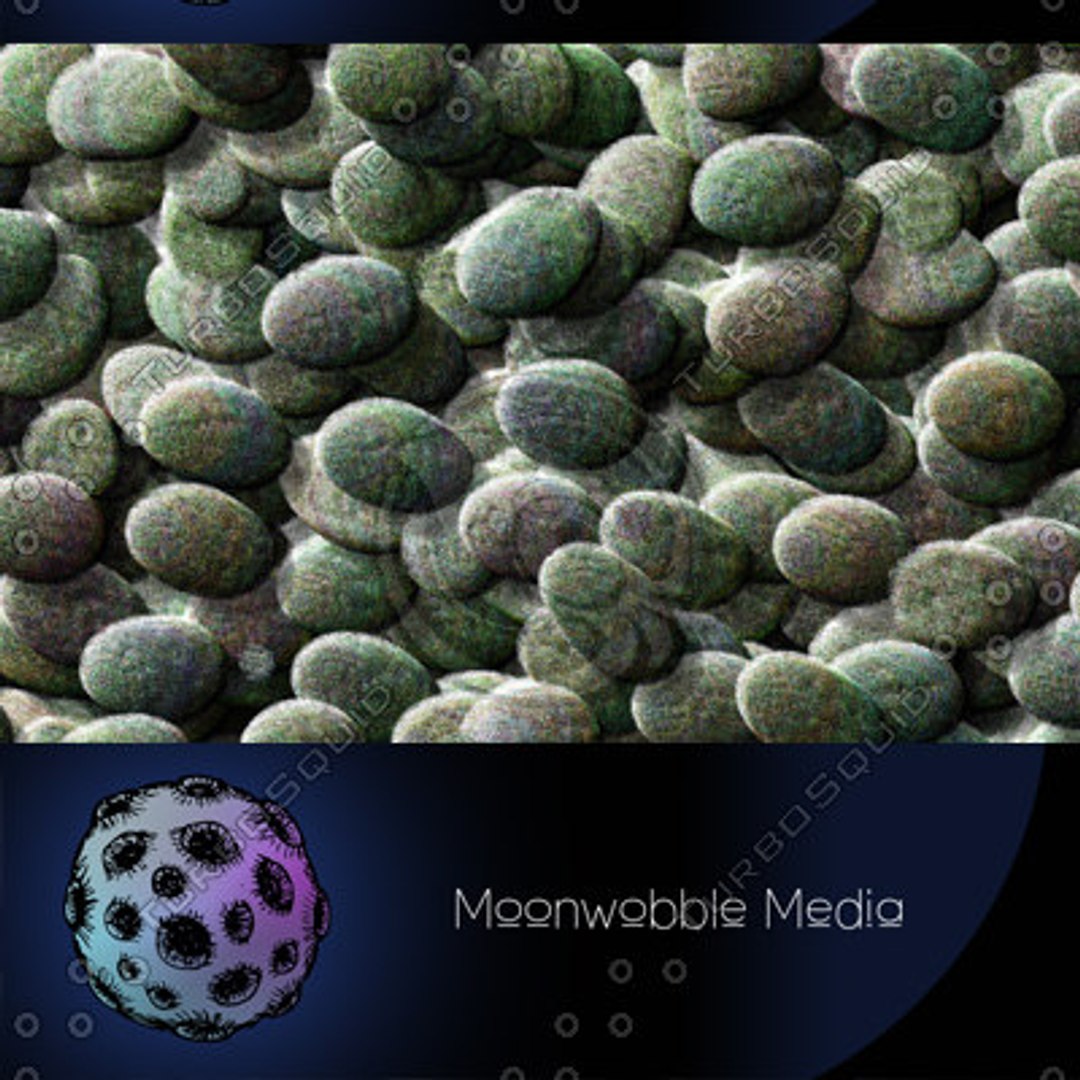  https://p.turbosquid.com/preview.turbosquid.com/Preview/2019/10/05__05_41_27/moonwobblemedia_dotty_rocks_tn.jpg9FC13B62-E352-476B-9AE0-67BF72749F07Large/jpg/1223314476/1920x1080/fit_q87/ccc5e3c9e4f468eb03b983336f380274017ed9bf/moonwobblemedia_dotty_rocks_tn.jpg9FC13B62-E352-476B-9AE0-67BF72749F07Large.jpg