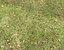 Forest Terrain Pack 17