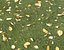 Forest Terrain Pack 22
