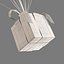 Flying Gift