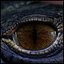 Creature Eyes Vol 06 - PBR