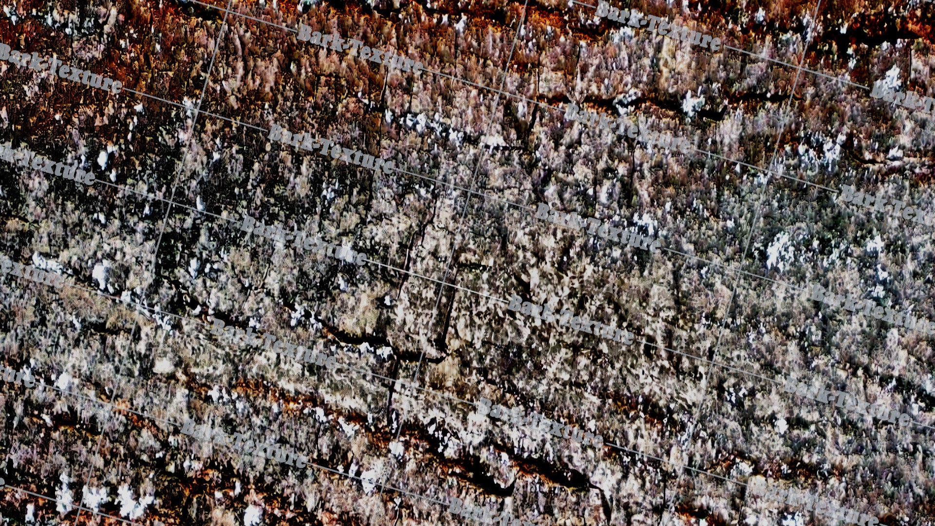  https://p.turbosquid.com/preview.turbosquid.com/Preview/2020/08/13__05_32_32/Bark010watermarkpreview1920x1080diffuse.jpgBC79378E-A612-4507-AFD7-96713DE432BBDefault/jpg/1597316138/1920x1080/fit_q87/1a925660176dde7633403adc4dbf41a9922cf3ea/Bark010watermarkpreview1920x1080diffuse.jpgBC79378E-A612-4507-AFD7-96713DE432BBDefault.jpg