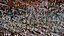 Bark-Wood-4K-Texture SR-X-010